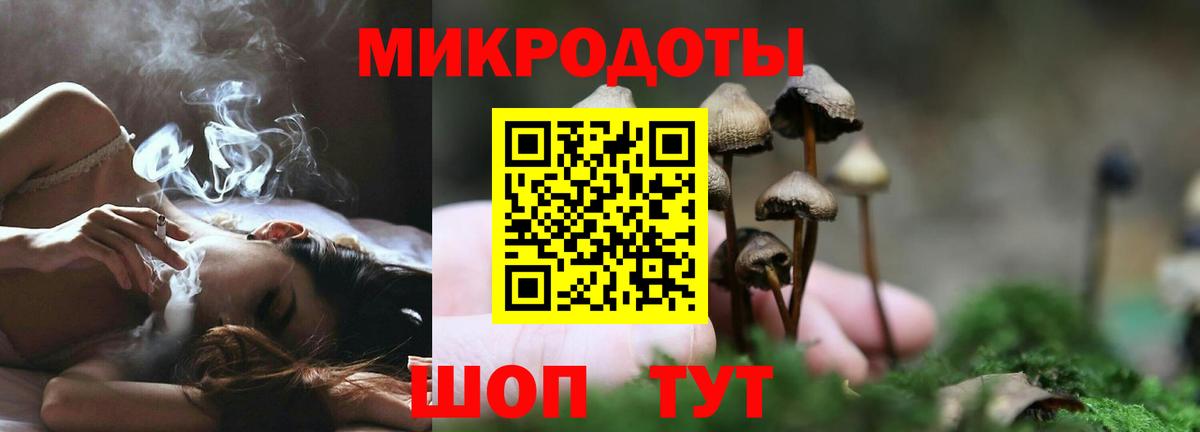 Псилоцибиновые грибы мухоморы Лесозаводск